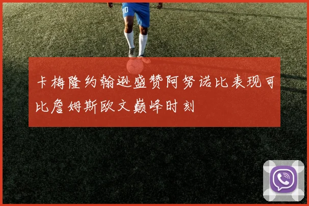 卡梅隆约翰逊盛赞阿努诺比表现可比詹姆斯欧文巅峰时刻