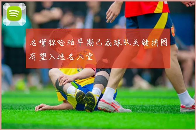 名嘴称哈珀早期已成球队关键拼图有望入选名人堂